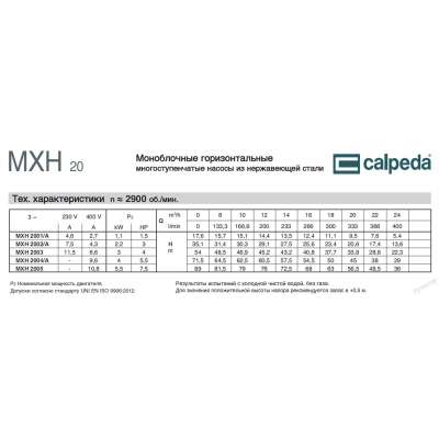 Горизонтальный многоступенчатый насосный агрегат Calpeda MXH 3204